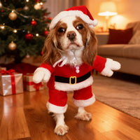 Christmas Pet Cute Santa Puppy/cat Costume