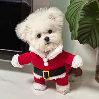 Christmas Pet Cute Santa Puppy/cat Costume