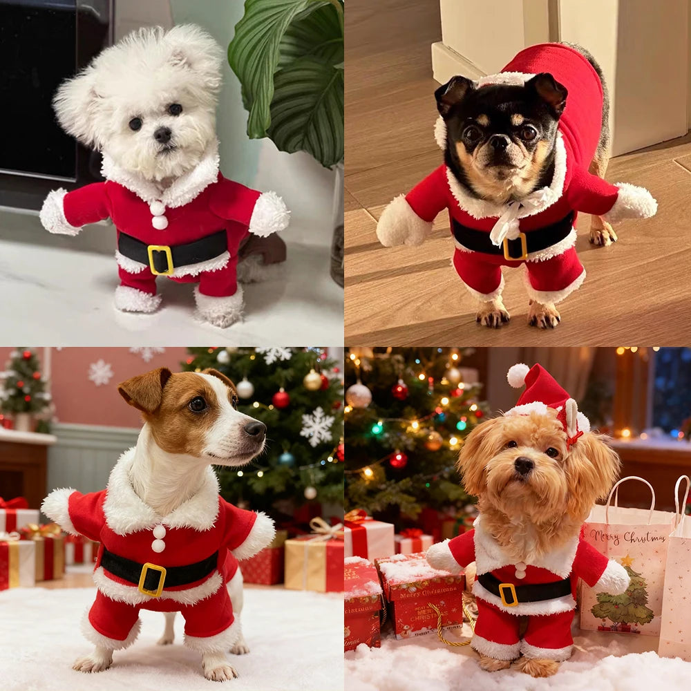Christmas Pet Cute Santa Puppy/cat Costume